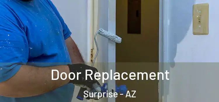  Door Replacement Surprise - AZ