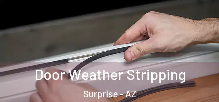 Door Weather Stripping Surprise - AZ