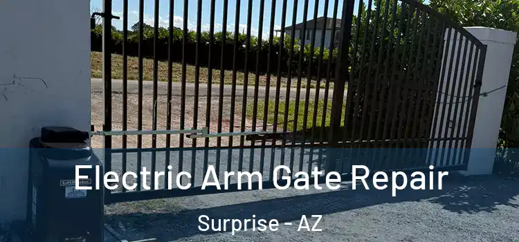  Electric Arm Gate Repair Surprise - AZ
