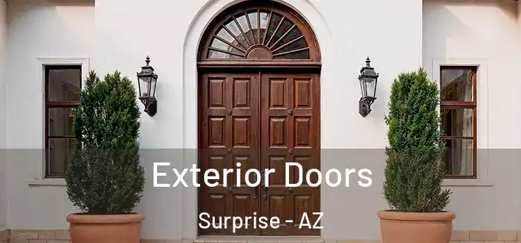  Exterior Doors Surprise - AZ