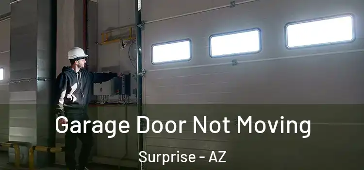 Garage Door Not Moving Surprise - AZ