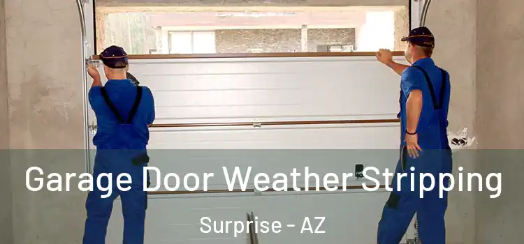  Garage Door Weather Stripping Surprise - AZ