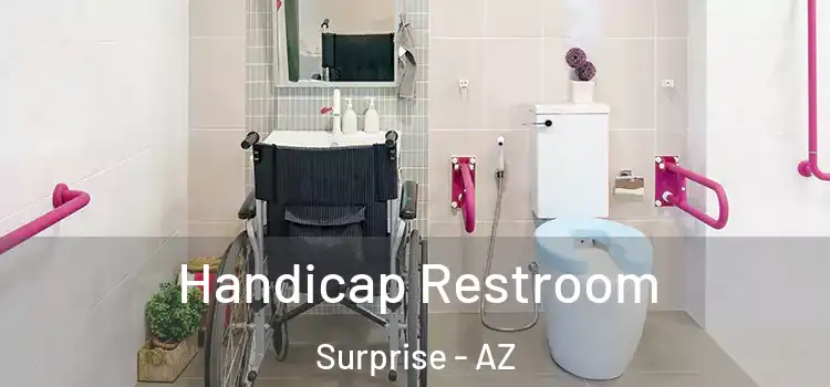 Handicap Restroom Surprise - AZ