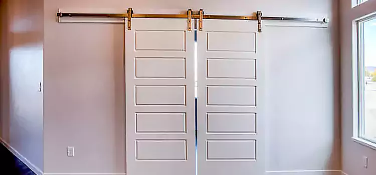 Glass Barn Door with Installation Hardware Kit Surprise