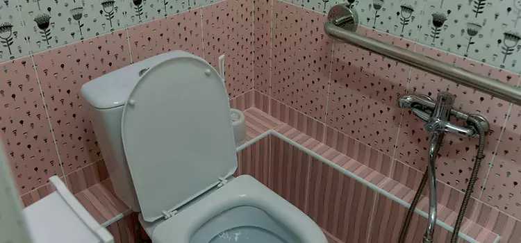 Meeting Diverse Needs With Accessible Restroom Solutions in Surprise, AZ