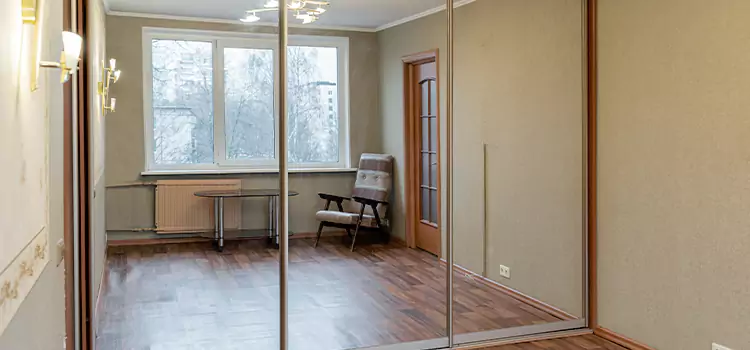 Mirror Closet Door Roller Replacement Surprise