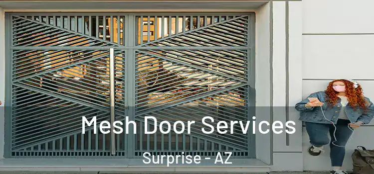 Mesh Door Services Surprise - AZ