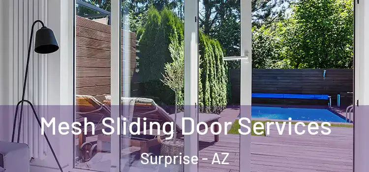 Mesh Sliding Door Services Surprise - AZ